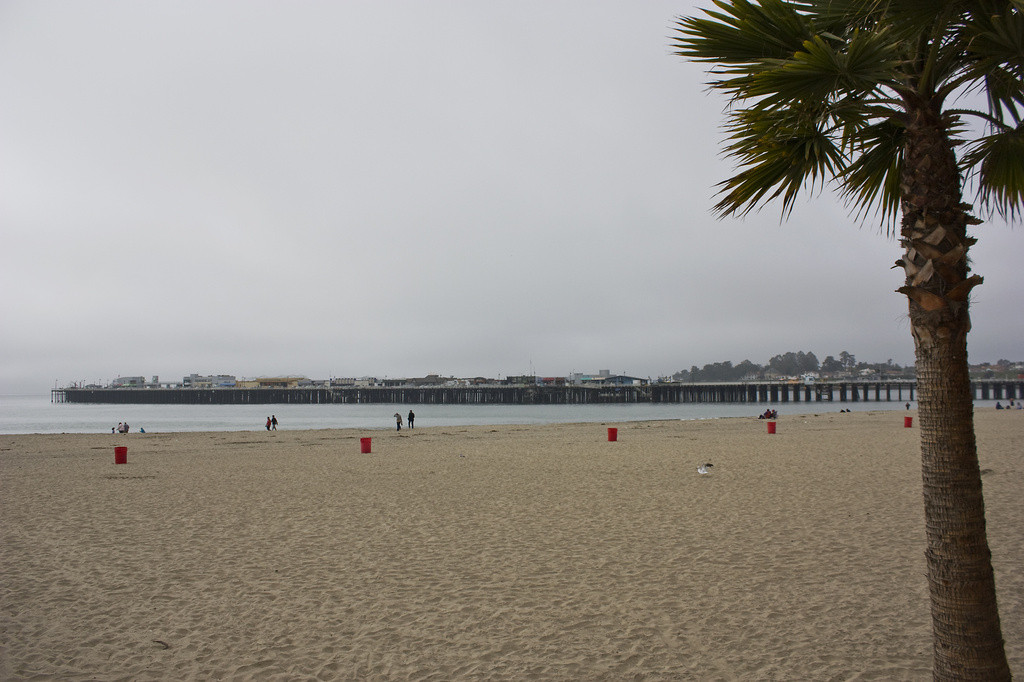 Main Beach, Santa Cruz
