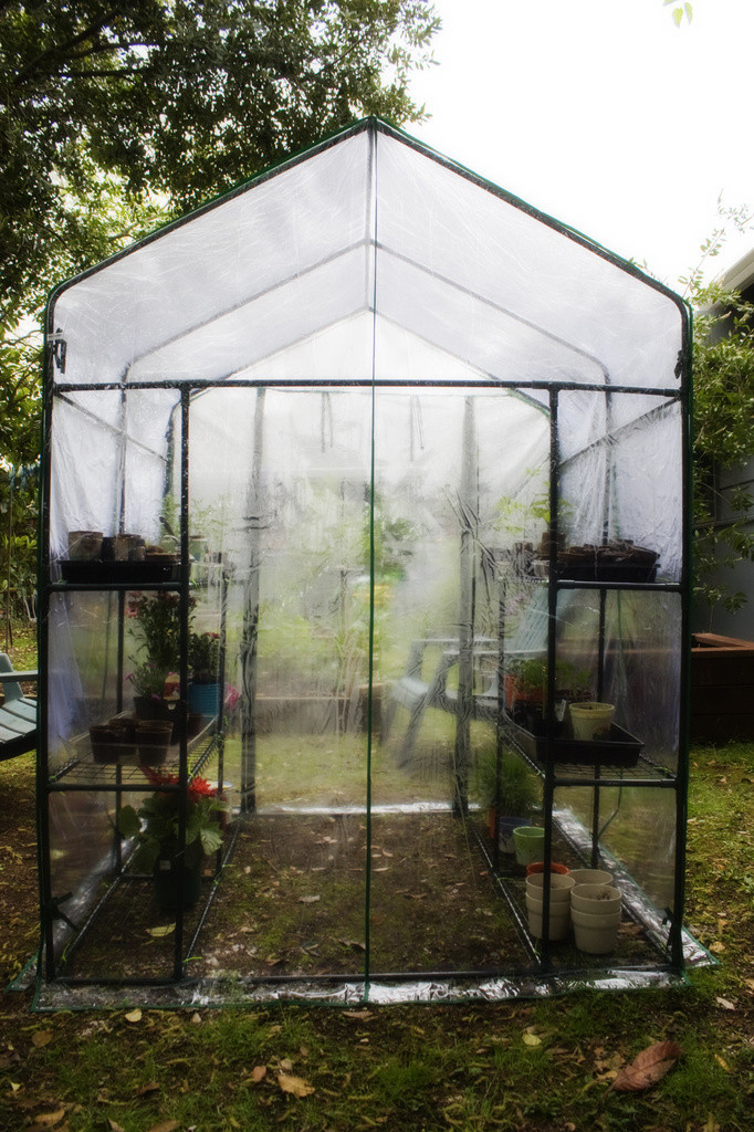 Greenhouse with plants