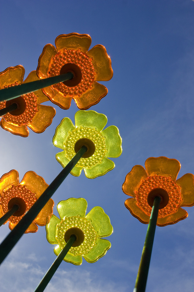 Flower shaped birdfeeders