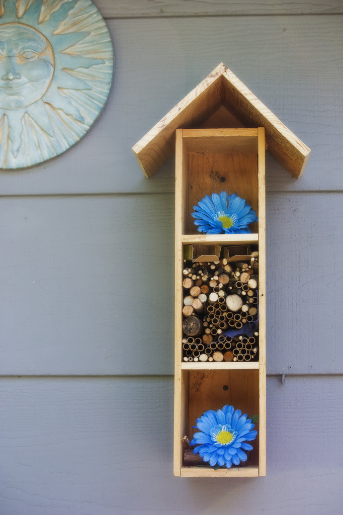 Bee house made from a wine box