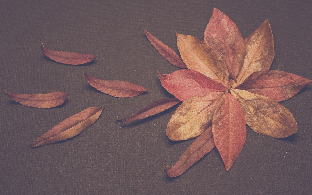 Flower mosaic made out of fall leaves