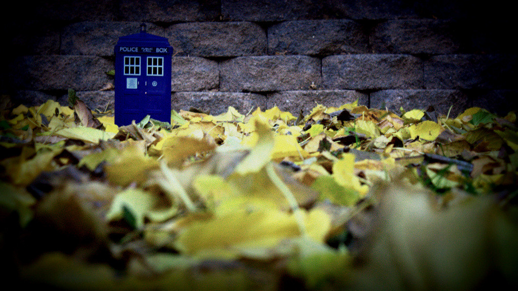 The Doctor Who TARDIS & yellow fall leaves