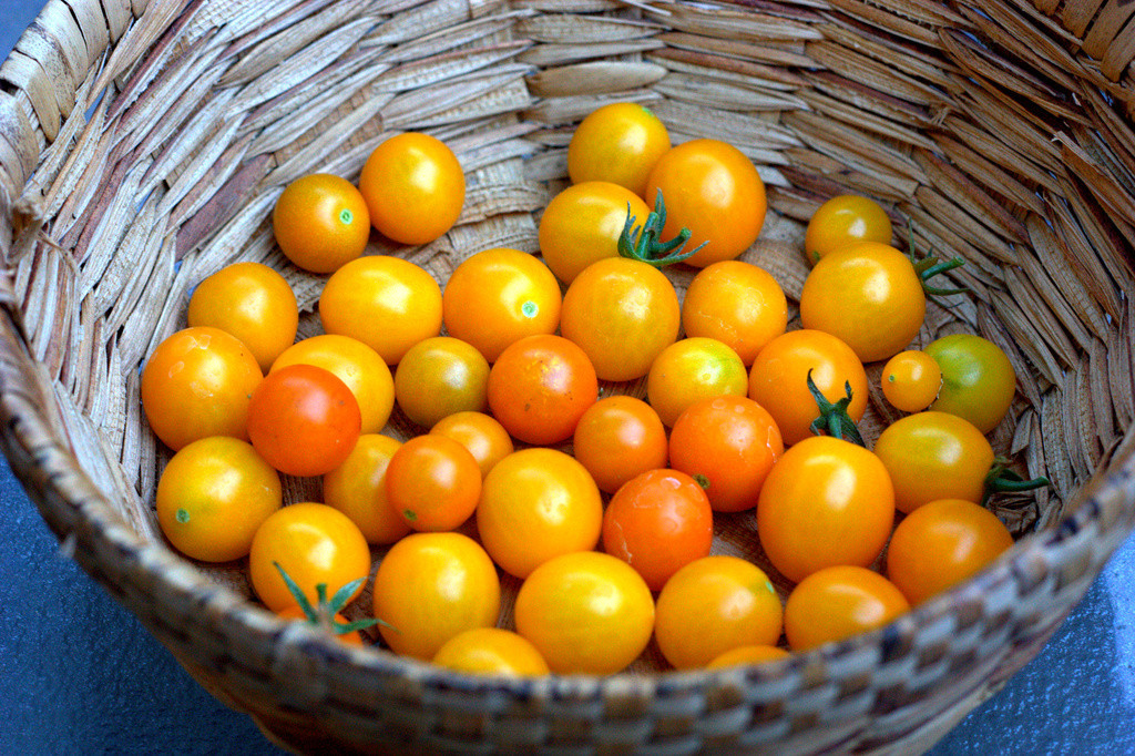 Yellow & orange cherry tomatoes in a basket
