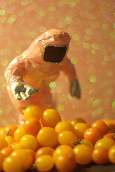 Intel figurine in pink bunnysuit inspecting yellow cherry tomatoes