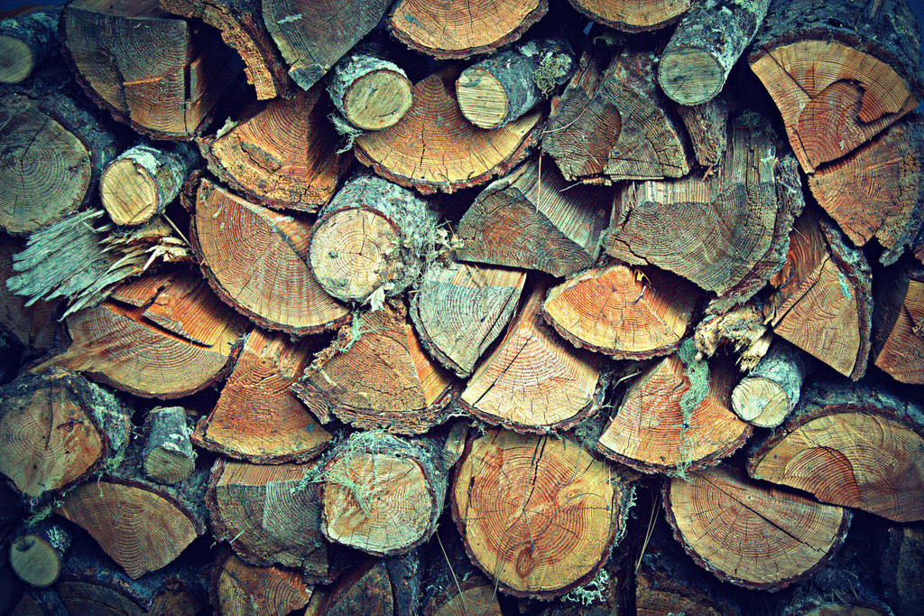 Stacked firewood