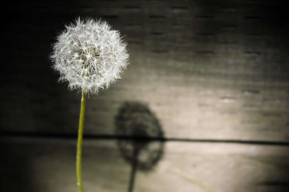 12 O’clock Shadow skelly10